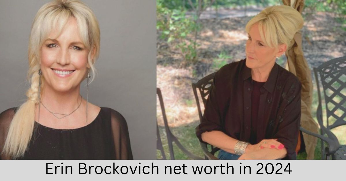 Erin Brockovich net worth in 2024