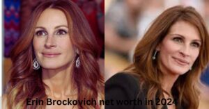 Erin Brockovich net worth in 