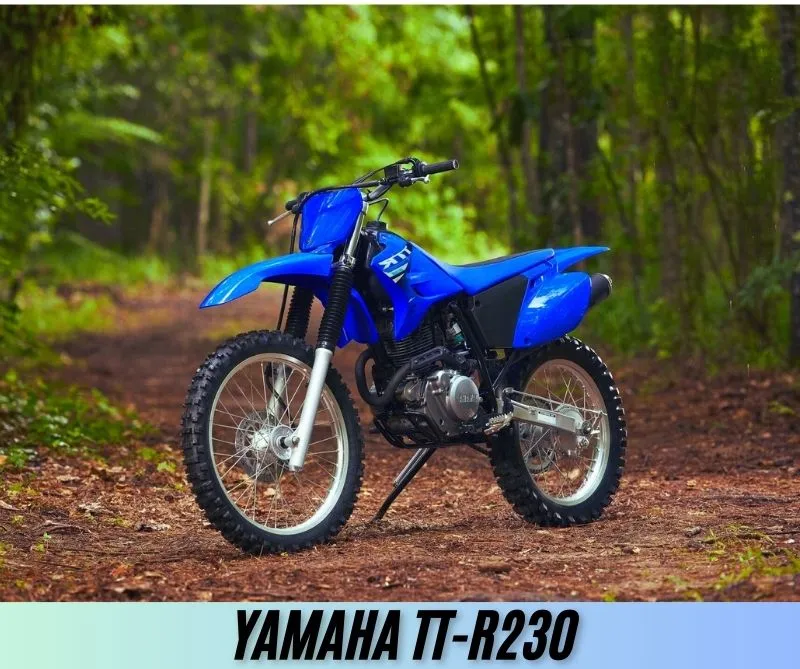 Yamaha-TT-R230